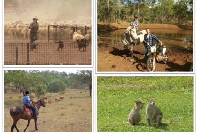 Naujiena - Australia Rural internship